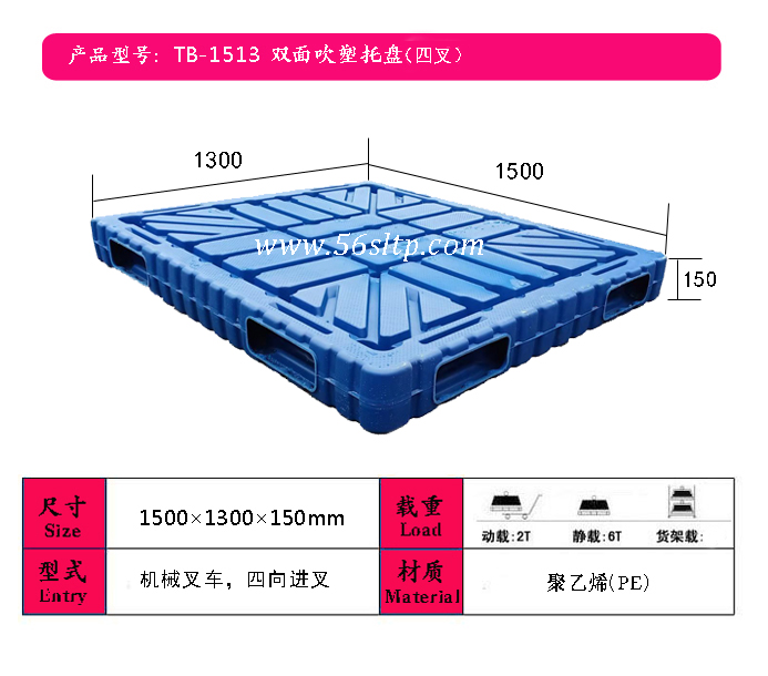 1513p洵Ĳ